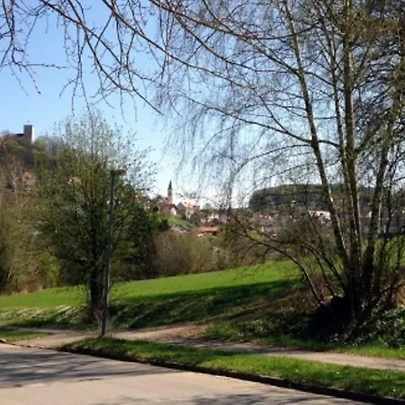 Ferienhaus 16 Eg 公寓 Falkenstein (Vogtland)